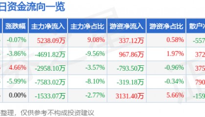 股票行情快报：飞龙股份（002536）4月3日主力资金净买入5238.09万元