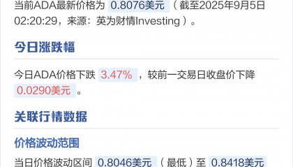 艾达币交易(艾达币违法吗)