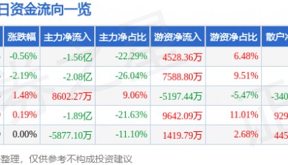 股票行情快报：广汇能源（600256）8月28日主力资金净卖出1.56亿元