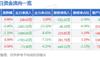 股票行情快报：建新股份（300107）3月3日主力资金净买入338.63万元