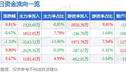 股票行情快报：皖能电力（000543）5月26日主力资金净卖出1929.60万元