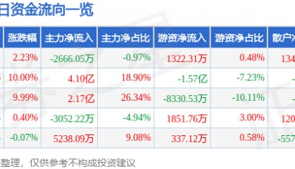 股票行情快报：飞龙股份（002536）4月10日主力资金净卖出2666.05万元
