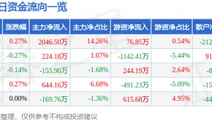 股票行情快报：皖能电力（000543）6月11日主力资金净买入2046.50万元