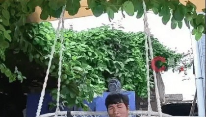 男子坐家中院子吊椅上刷手机，剧毒银环蛇突然从天而降掉身上……