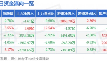 股票行情快报：飞龙股份（002536）2月13日主力资金净卖出1.61亿元