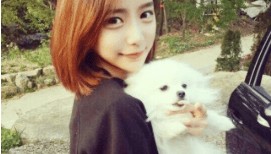 学Java需要什么基础知识？零基础小白的入门指南