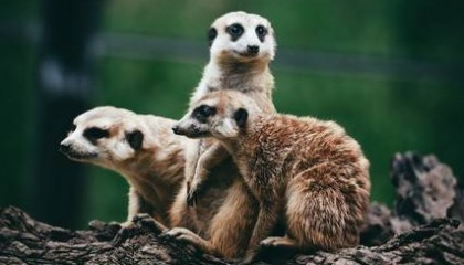 风水入门基础知识全解析