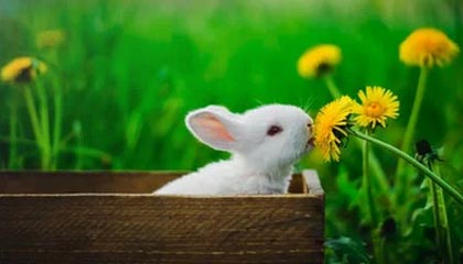 8月6日前海开源公用事业股票净值增长0.77%,今年来累计上涨15.2%