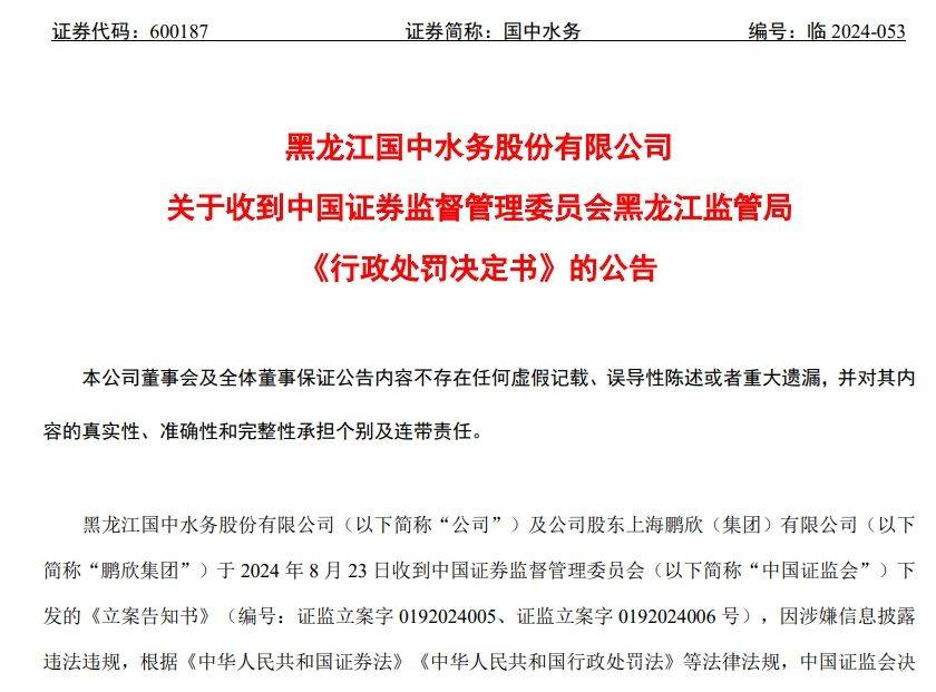 国中水务股民证券索赔指南