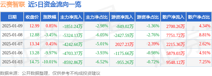 股票行情快报：云赛智联（600602）1月9日主力资金净卖出1851.24万元