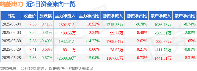 股票行情快报：皖能电力（000543）6月4日主力资金净买入2302.31万元