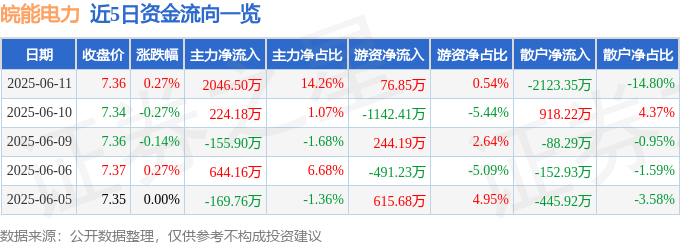 股票行情快报:皖能电力(000543)6月11日主力资金净买入2046.50万元