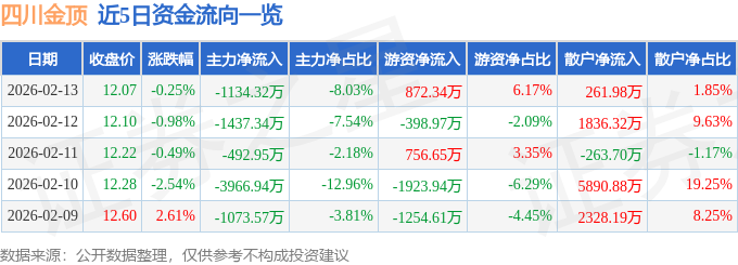 股票行情快报：四川金顶（600678）2月13日主力资金净卖出1134.32万元