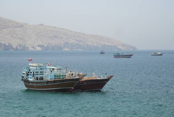 美国务院：中美都同意，霍尔木兹海峡不收通行费